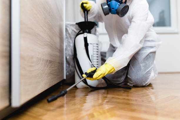Best Residential Pest Control  in Potomac Mills, VA