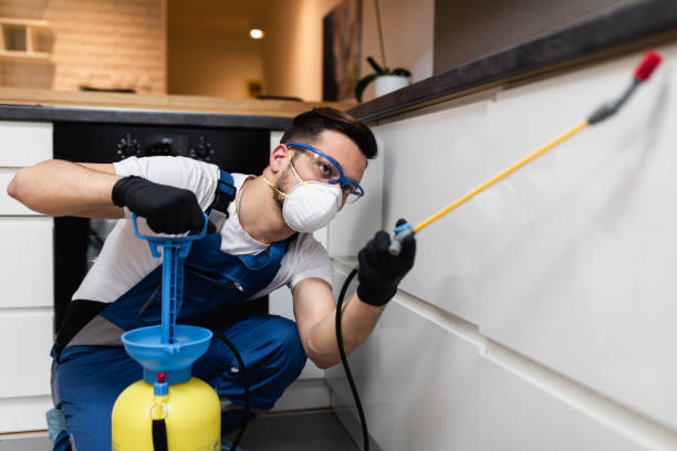 Best Affordable Pest Control Services  in Potomac Mills, VA