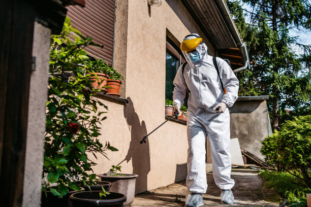 Best Pest Removal Services  in Potomac Mills, VA