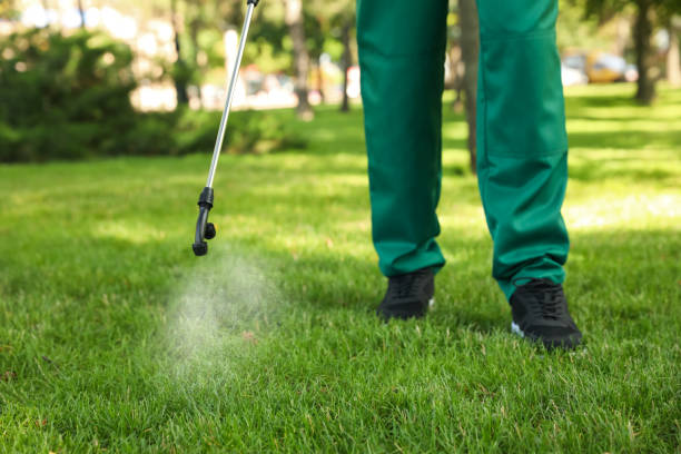 Reliable Potomac Mills, VA Pest Control Solutions