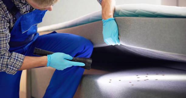 Best Exterminator Services  in Potomac Mills, VA
