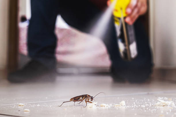 Best Rat Extermination Near Me  in Potomac Mills, VA