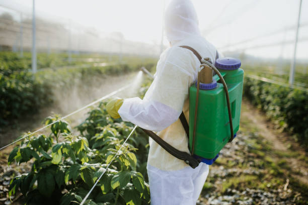 Best Local Pest Control Services  in Potomac Mills, VA